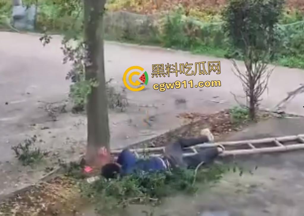 大爷作死上树砍枝惨摔内伤！年过半百爬木梯伐树，树枝滑落砸翻落地，这才是真伐木累，痛到怀疑人生！  第3张