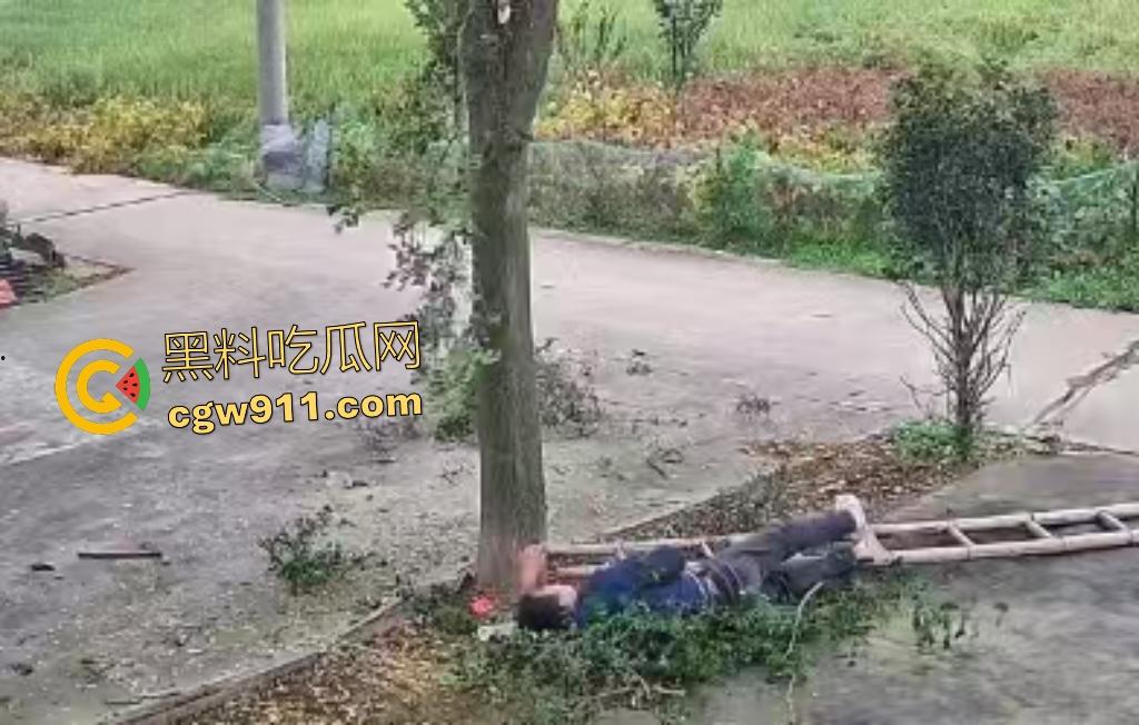 大爷作死上树砍枝惨摔内伤！年过半百爬木梯伐树，树枝滑落砸翻落地，这才是真伐木累，痛到怀疑人生！  第4张