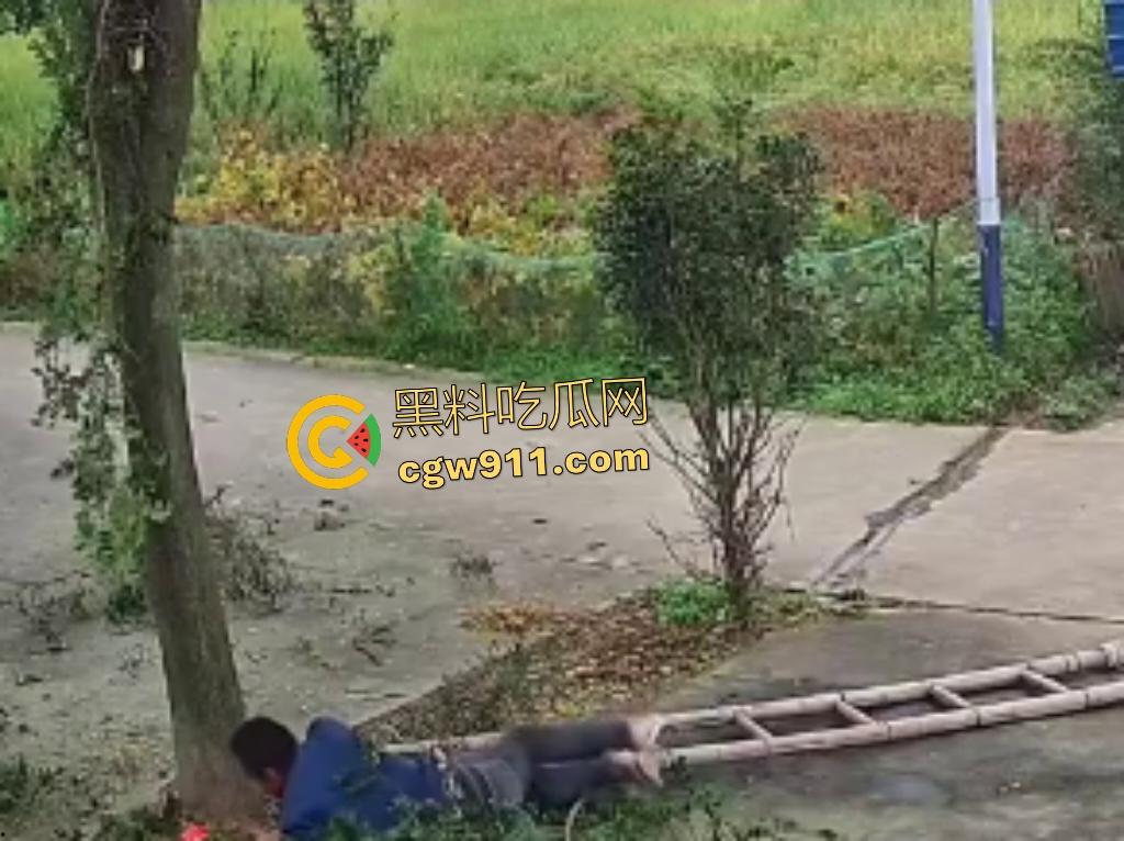 大爷作死上树砍枝惨摔内伤！年过半百爬木梯伐树，树枝滑落砸翻落地，这才是真伐木累，痛到怀疑人生！  第5张