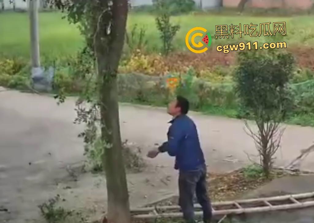 大爷作死上树砍枝惨摔内伤！年过半百爬木梯伐树，树枝滑落砸翻落地，这才是真伐木累，痛到怀疑人生！  第6张