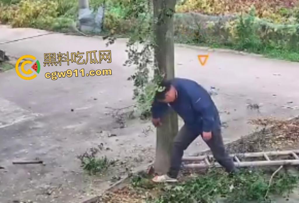 大爷作死上树砍枝惨摔内伤！年过半百爬木梯伐树，树枝滑落砸翻落地，这才是真伐木累，痛到怀疑人生！  第7张