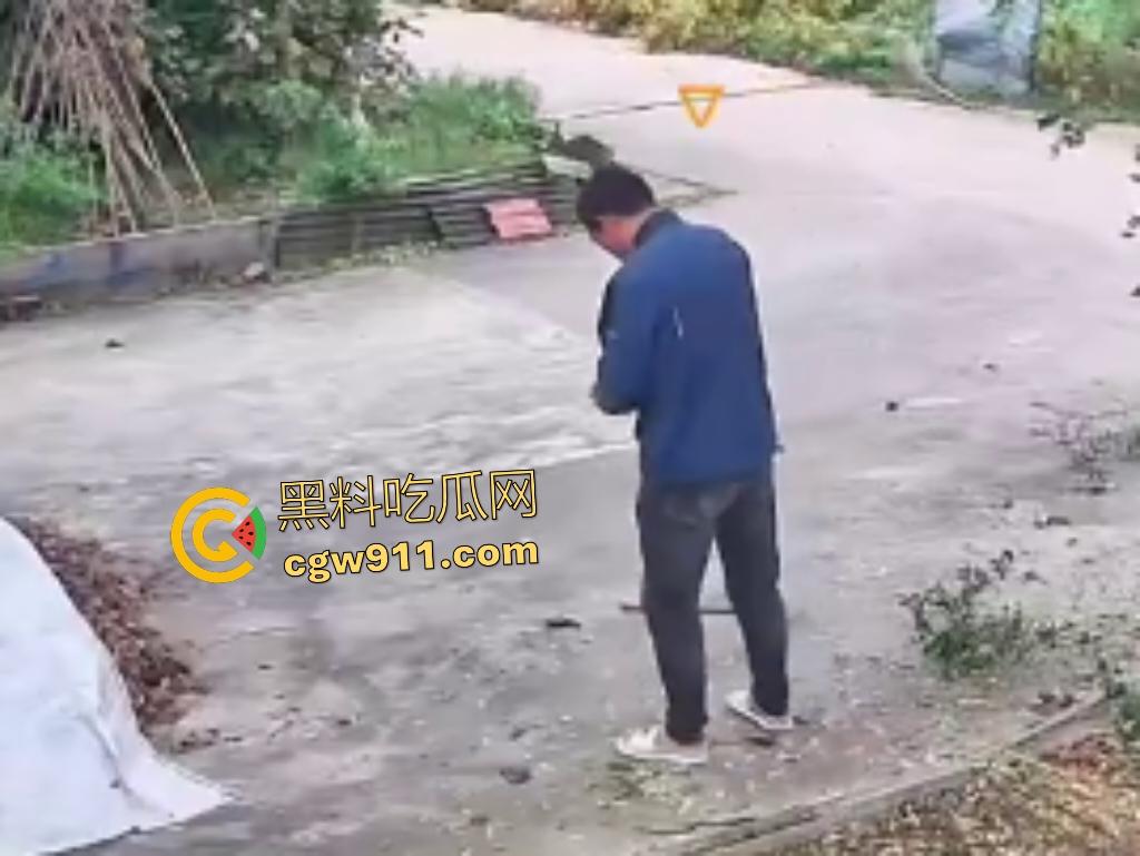 大爷作死上树砍枝惨摔内伤！年过半百爬木梯伐树，树枝滑落砸翻落地，这才是真伐木累，痛到怀疑人生！  第8张