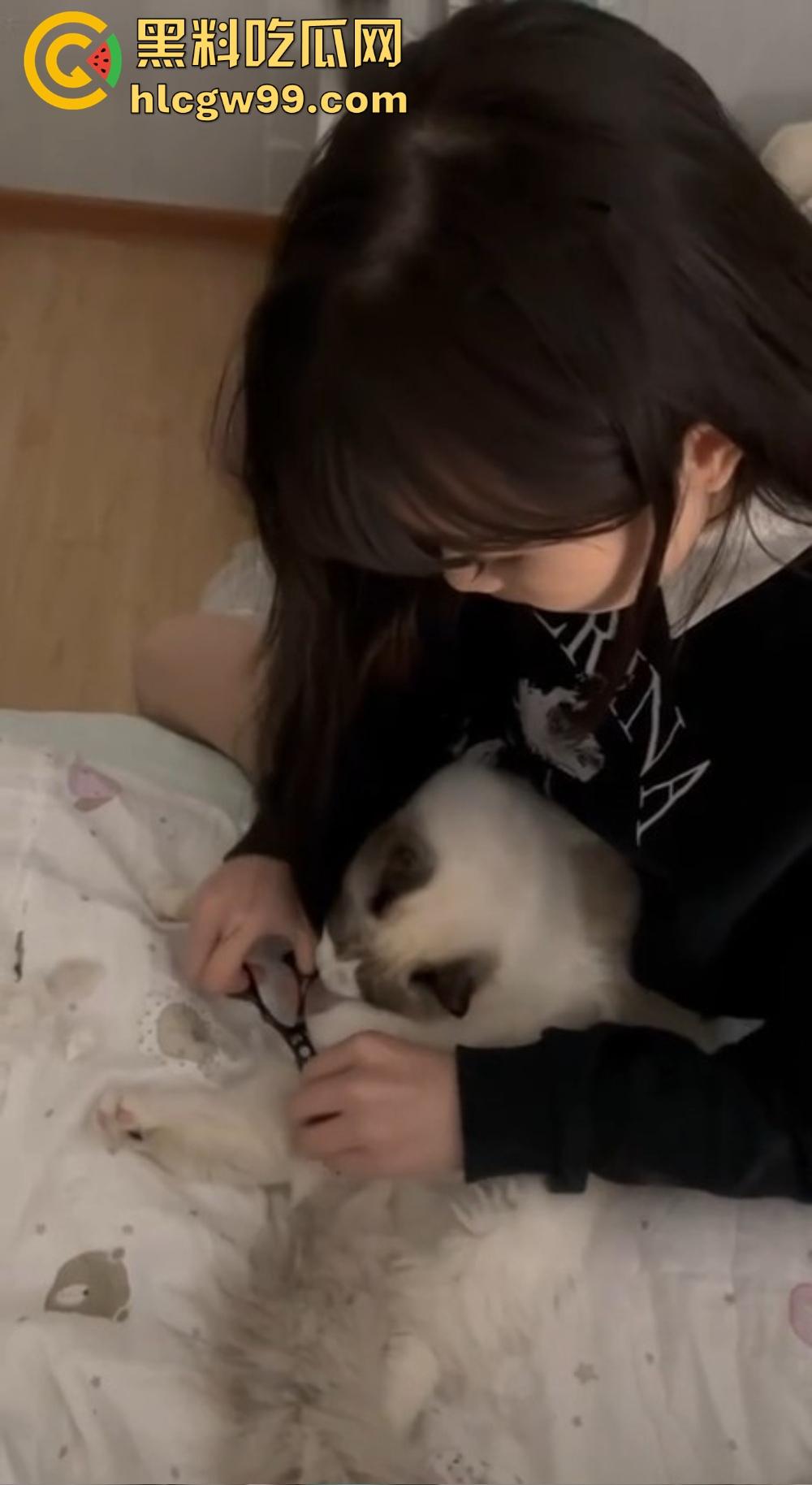 高颜值美女【林淼】白嫩大奶子晃得人眼花，自慰掰穴爽到喷水，被操到崩溃求饶，极品身材玩一次能爽三天！  第5张