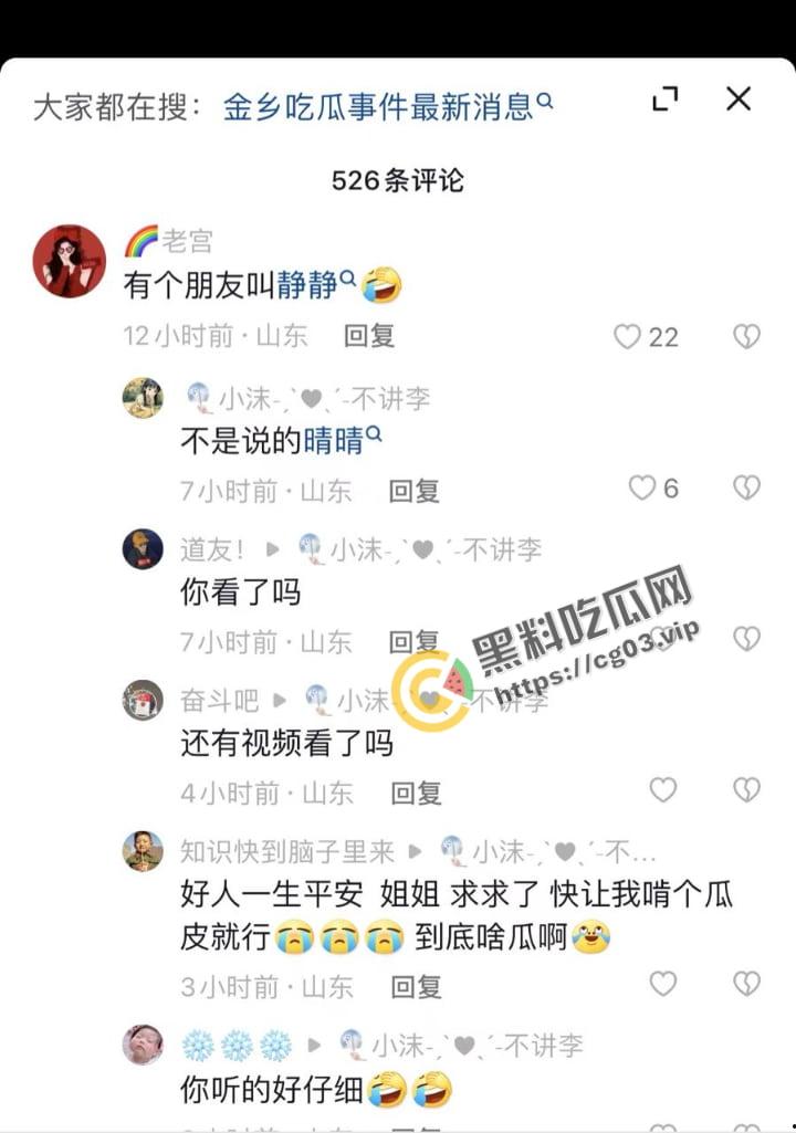 山东济宁 金乡的语音瓜  【花映映】出品《俺有个朋友叫静静》 字幕版 瓜友们放心食用 第2张