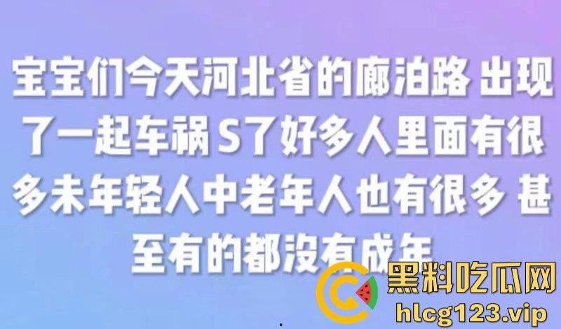 河北廊坊公交车突发车祸 老人孩子死伤无数 现场伤亡视频曝光  第1张