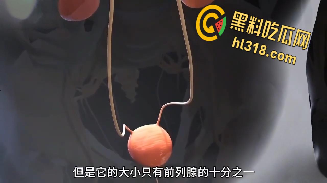 性爱科普揭秘,性高潮时潮喷的液体究竟是什么?带你看尽私密快感,想想谁被你操到高潮喷射 ! 第5张 性爱科普揭秘,性高潮时潮喷的液体究竟是什么?带你看尽私密快感,想想谁被你操到高潮喷射 ! 第5张