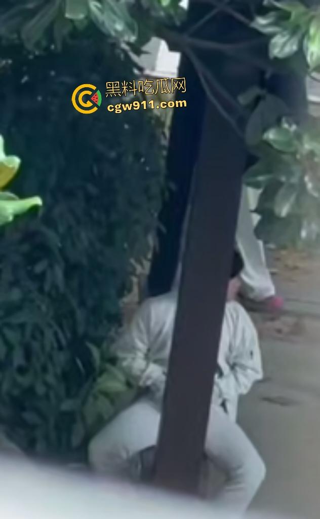 徐州技师学院情侣凉亭，网红小树林户外野战，高颜值女技师骑乘男友隔裤狂磨，精液淫水搞湿裤裆！  第3张