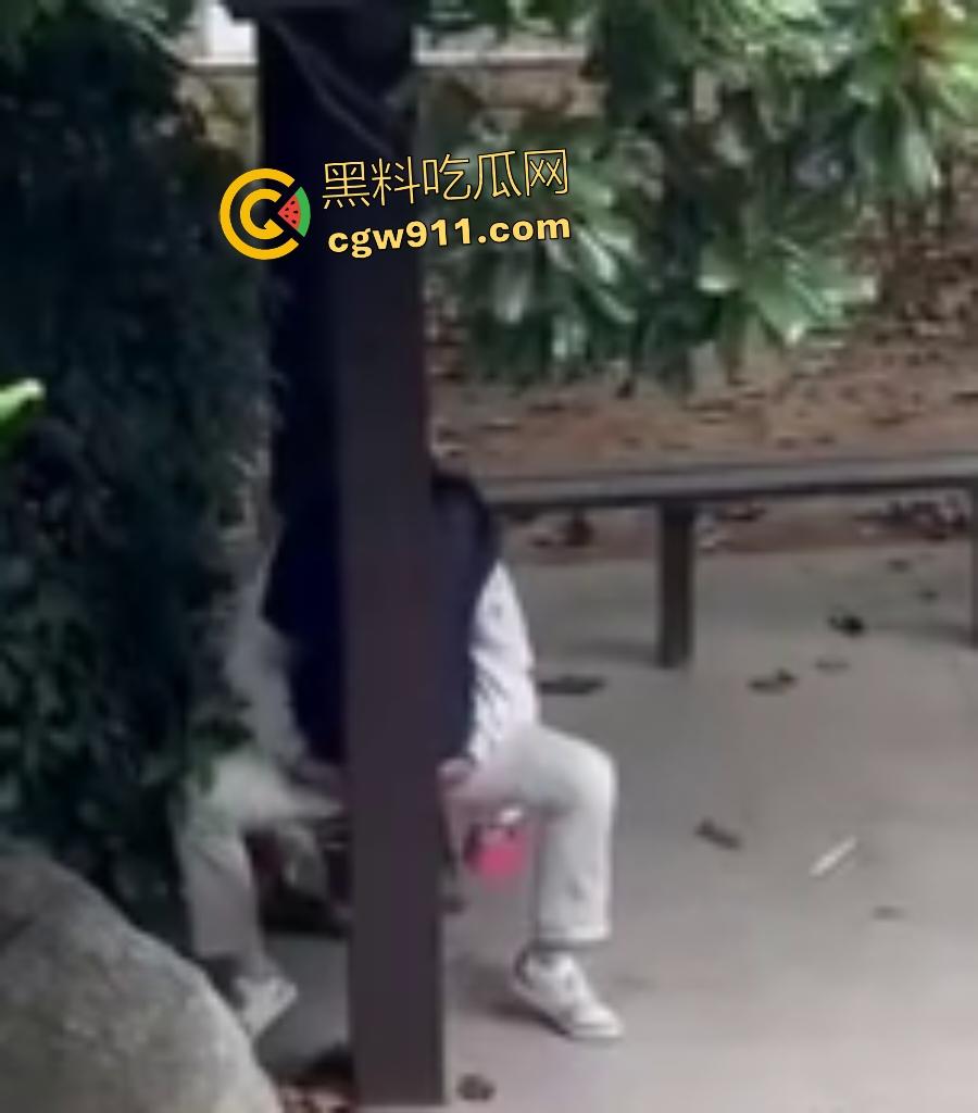 徐州技师学院情侣凉亭，网红小树林户外野战，高颜值女技师骑乘男友隔裤狂磨，精液淫水搞湿裤裆！  第6张