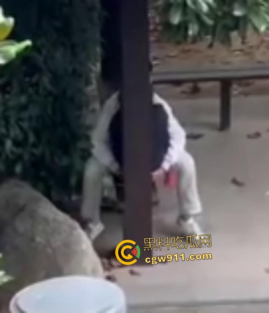 徐州技师学院情侣凉亭，网红小树林户外野战，高颜值女技师骑乘男友隔裤狂磨，精液淫水搞湿裤裆！  第7张