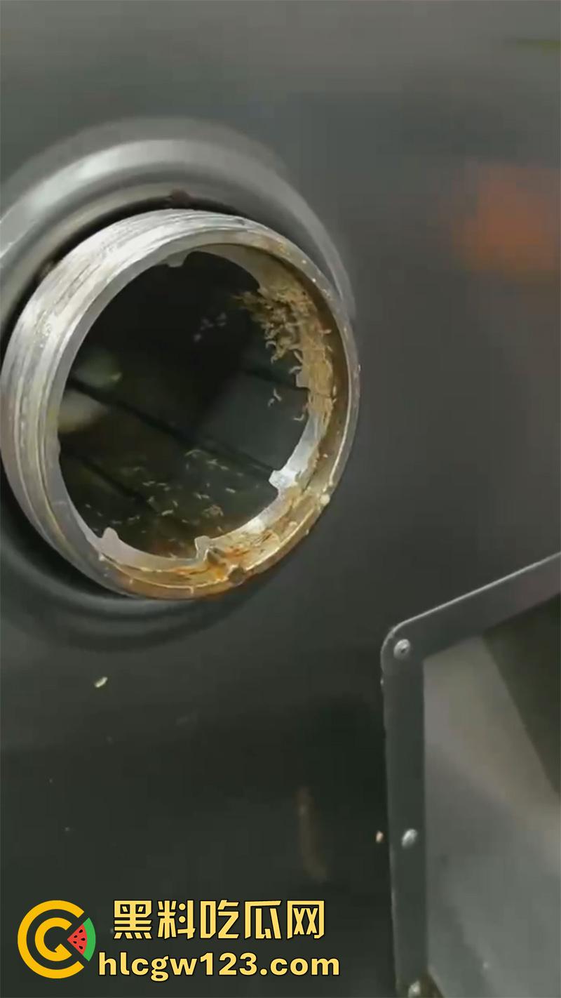 姚北实验学校食堂暴雷，绞肉机里蛆虫密集，被偷拍后将其曝光，太恐怖了实在难以置信！  第7张