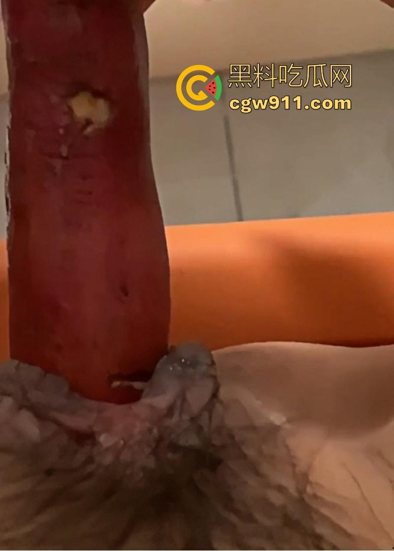 深圳职业学院清纯眼镜学生妹【林肖莹】不雅视频曝光，舌头灵活舔弄大屌，红薯插逼自慰，大饱眼福！  第4张