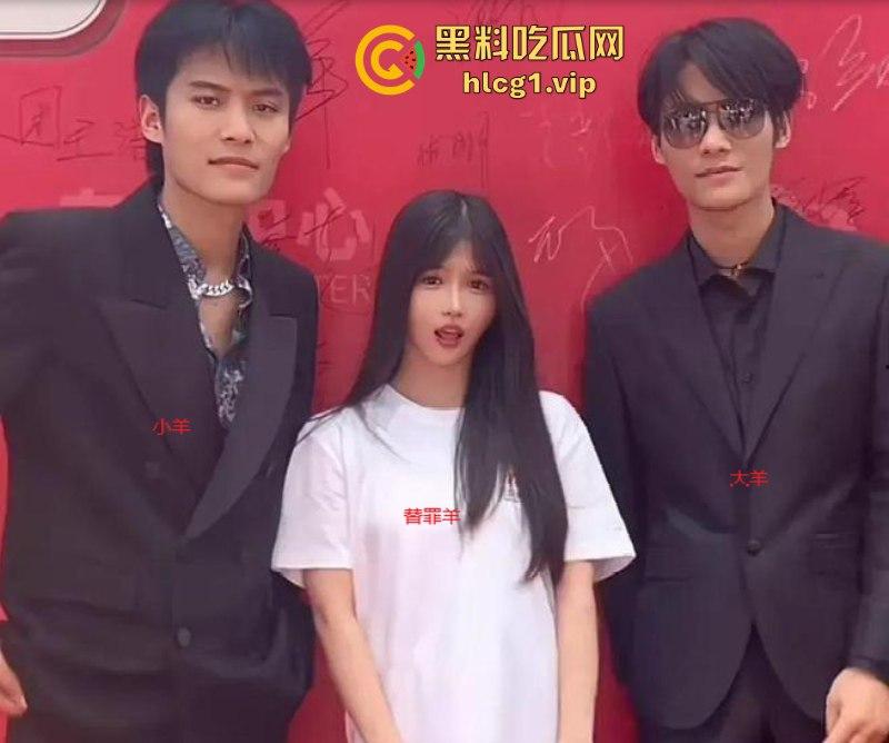 大瓜!风波升级辛巴小杨哥互撕 曝三只羊合伙人被判刑 曾志伟连夜改名疑证实! 第13张 大瓜!风波升级辛巴小杨哥互撕 曝三只羊合伙人被判刑 曾志伟连夜改名疑证实! 第13张