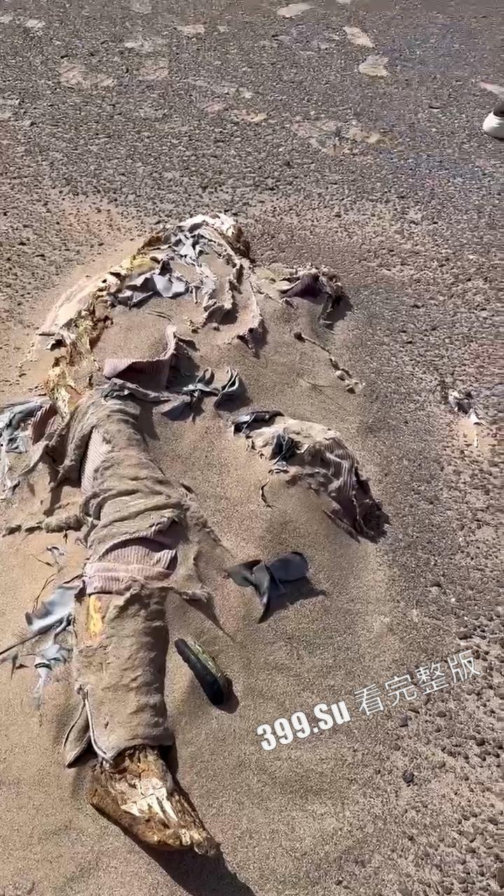 罗布泊干尸事故！罗布泊 4 人遇难遗体碳化 领队不专业走错路 水源储备不充足 人找到已晒成干尸 （现场无码视图）  第10张
