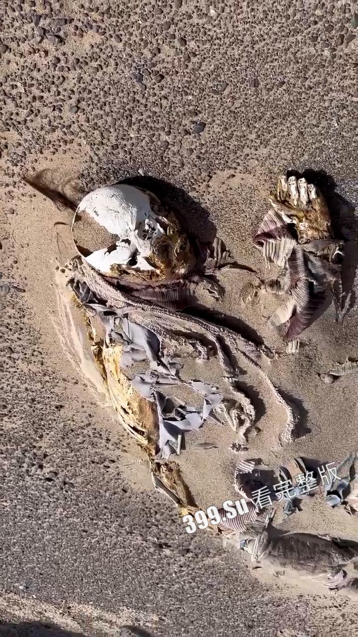 罗布泊干尸事故！罗布泊 4 人遇难遗体碳化 领队不专业走错路 水源储备不充足 人找到已晒成干尸 （现场无码视图）  第11张