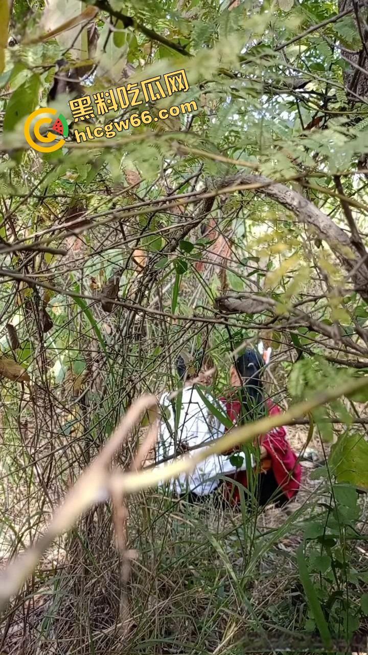 夏天的第一炮，小情侣树林野战开操果园大哥路过拍下全程，屁股抬得比桃子高，万物复苏逼也骚！  第2张