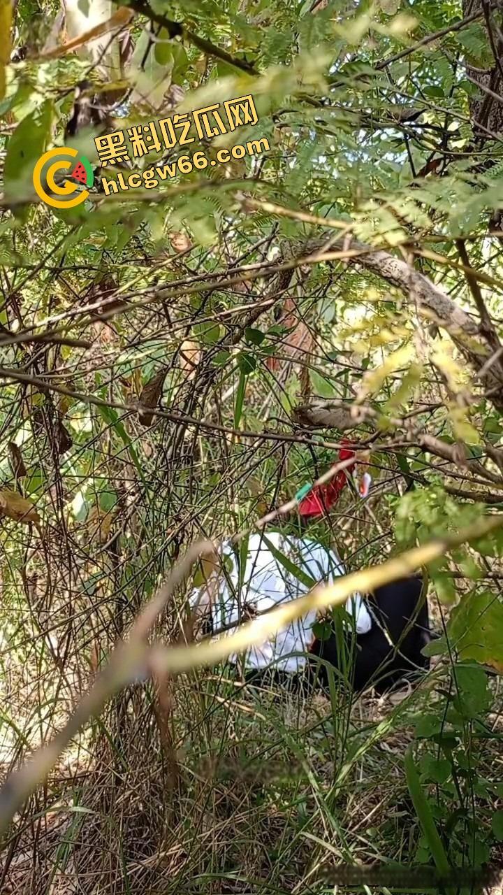 夏天的第一炮，小情侣树林野战开操果园大哥路过拍下全程，屁股抬得比桃子高，万物复苏逼也骚！  第3张