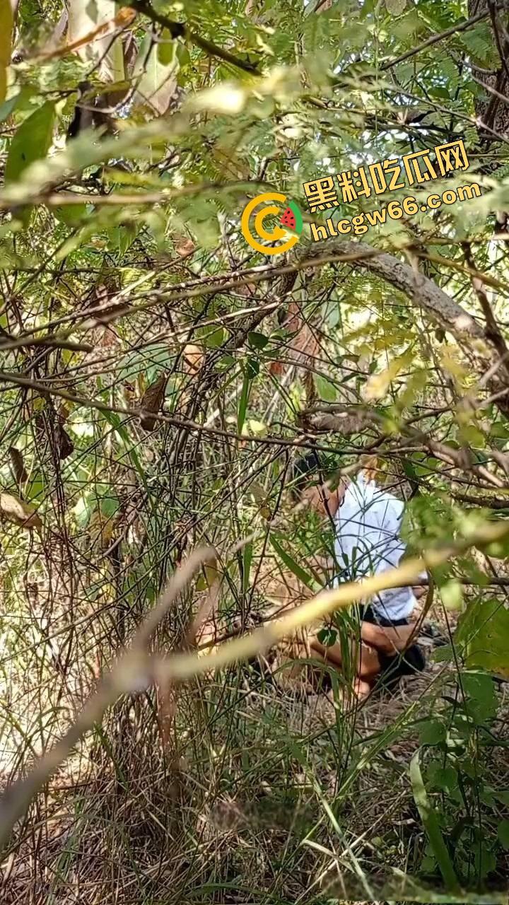 夏天的第一炮，小情侣树林野战开操果园大哥路过拍下全程，屁股抬得比桃子高，万物复苏逼也骚！  第4张