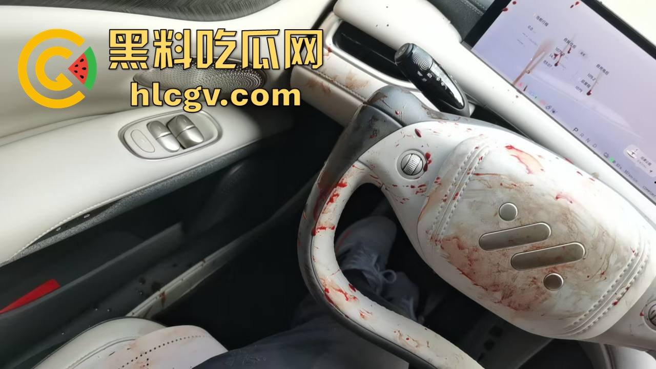 瓜友投稿提新车还得见血?智己测评见鸡血,婆婆竟找神婆做法,这年头唯物主义去哪了? 第2张 瓜友投稿提新车还得见血?智己测评见鸡血,婆婆竟找神婆做法,这年头唯物主义去哪了? 第2张