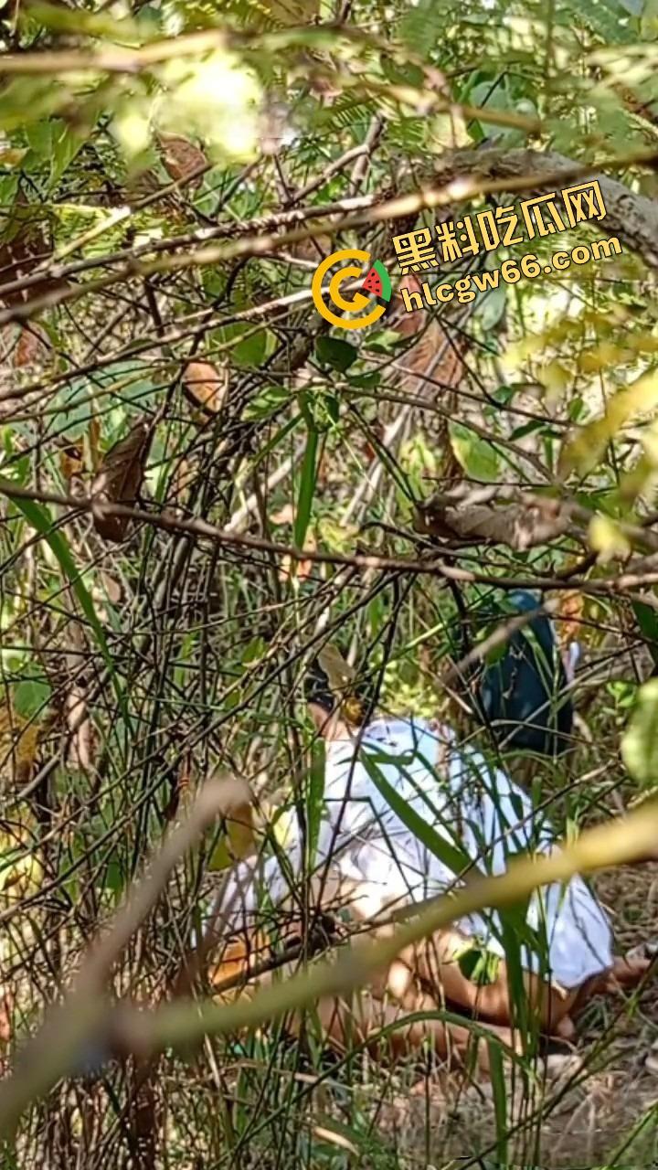 夏天的第一炮，小情侣树林野战开操果园大哥路过拍下全程，屁股抬得比桃子高，万物复苏逼也骚！  第6张