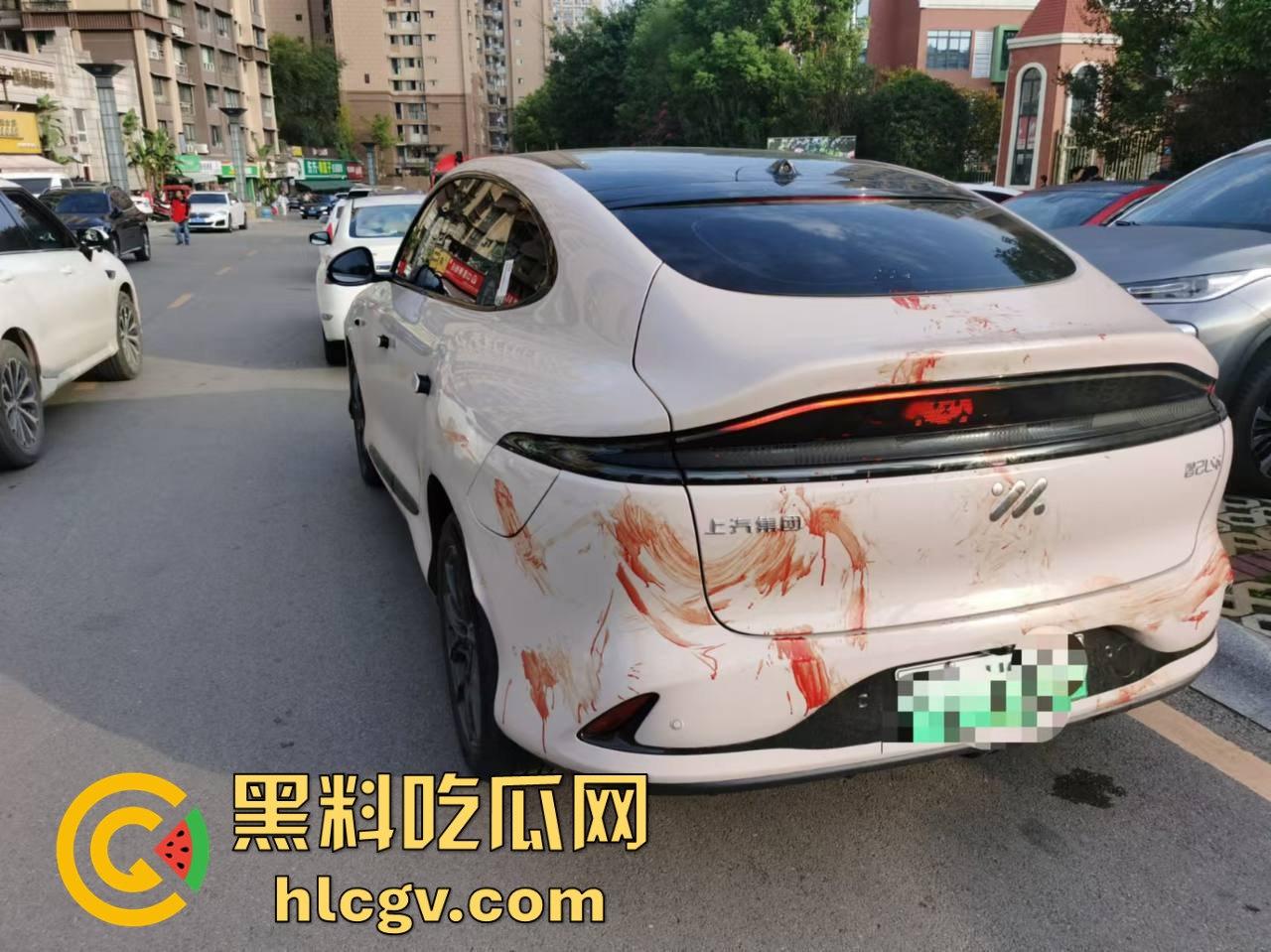 瓜友投稿提新车还得见血?智己测评见鸡血,婆婆竟找神婆做法,这年头唯物主义去哪了? 第4张 瓜友投稿提新车还得见血?智己测评见鸡血,婆婆竟找神婆做法,这年头唯物主义去哪了? 第4张