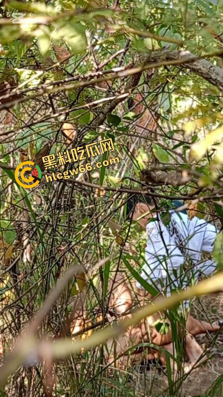 夏天的第一炮，小情侣树林野战开操果园大哥路过拍下全程，屁股抬得比桃子高，万物复苏逼也骚！  第7张