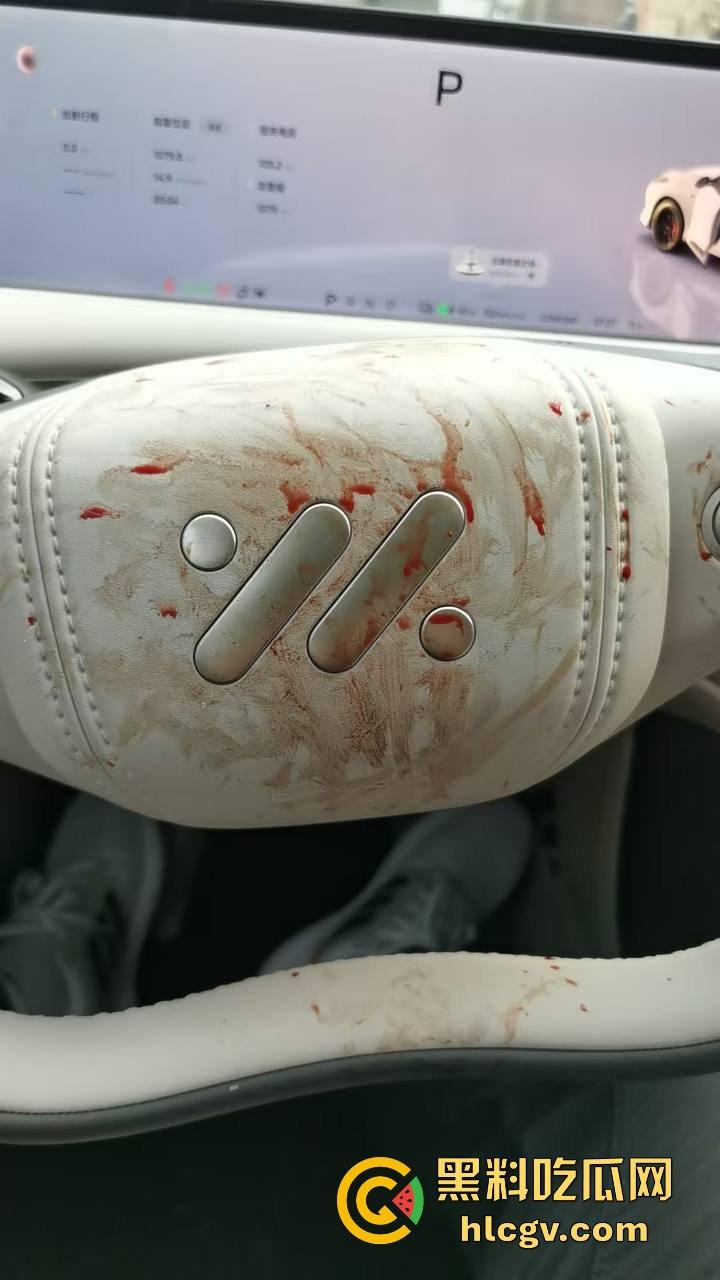 瓜友投稿提新车还得见血?智己测评见鸡血,婆婆竟找神婆做法,这年头唯物主义去哪了? 第6张 瓜友投稿提新车还得见血?智己测评见鸡血,婆婆竟找神婆做法,这年头唯物主义去哪了? 第6张