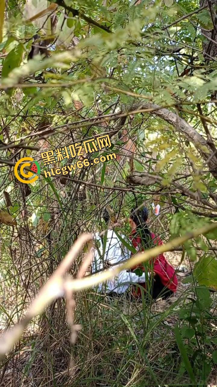 夏天的第一炮，小情侣树林野战开操果园大哥路过拍下全程，屁股抬得比桃子高，万物复苏逼也骚！  第8张