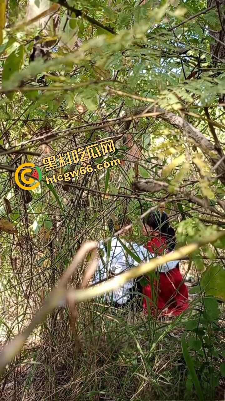夏天的第一炮，小情侣树林野战开操果园大哥路过拍下全程，屁股抬得比桃子高，万物复苏逼也骚！  第11张