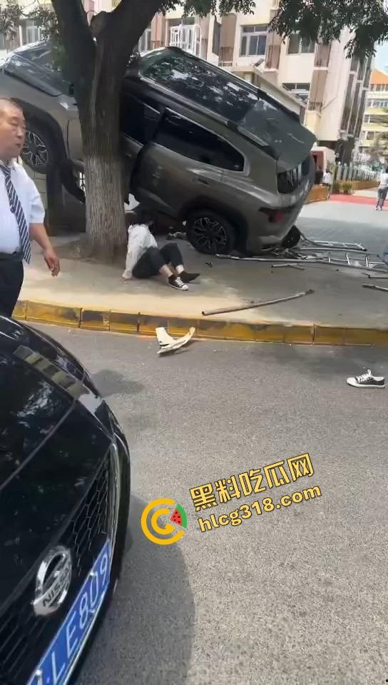 北京密云小学门口惊现夺命飞车,司机疯了吗?放学一脚油门冲进娃堆,小学生倒一片! 第4张 北京密云小学门口惊现夺命飞车,司机疯了吗?放学一脚油门冲进娃堆,小学生倒一片! 第4张