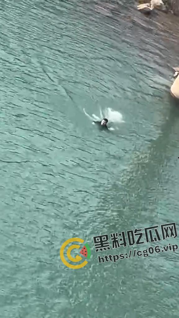四川南充男子跳水勇救轻生女子 最终女子获救 男子因江水湍急体力不支 丧命于此 现场打捞视频曝光  第2张