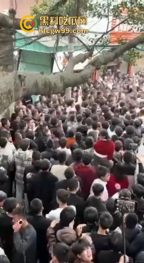 广东潮汕迎老爷因抢香炉爆发冲突，两边人马大大出手，好好的一个迎神活动搞成这样为啥呀！  第8张