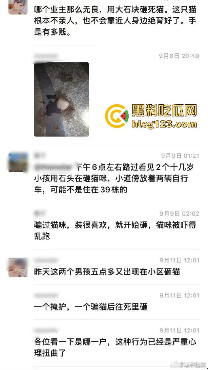 两个初中生小区虐猫？回家对着你老父亲试试，猫是猫人不是人！  第3张