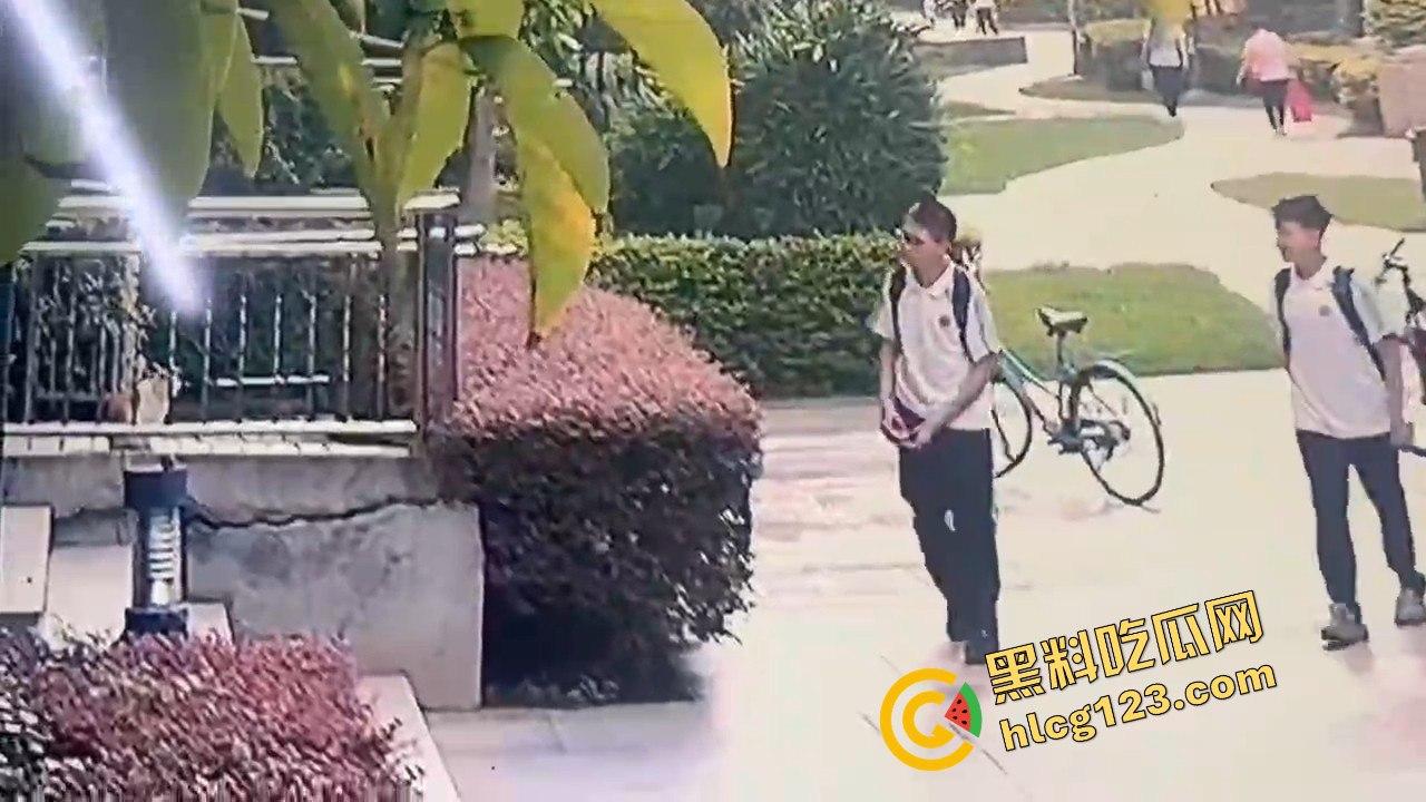 两个初中生小区虐猫？回家对着你老父亲试试，猫是猫人不是人！  第4张