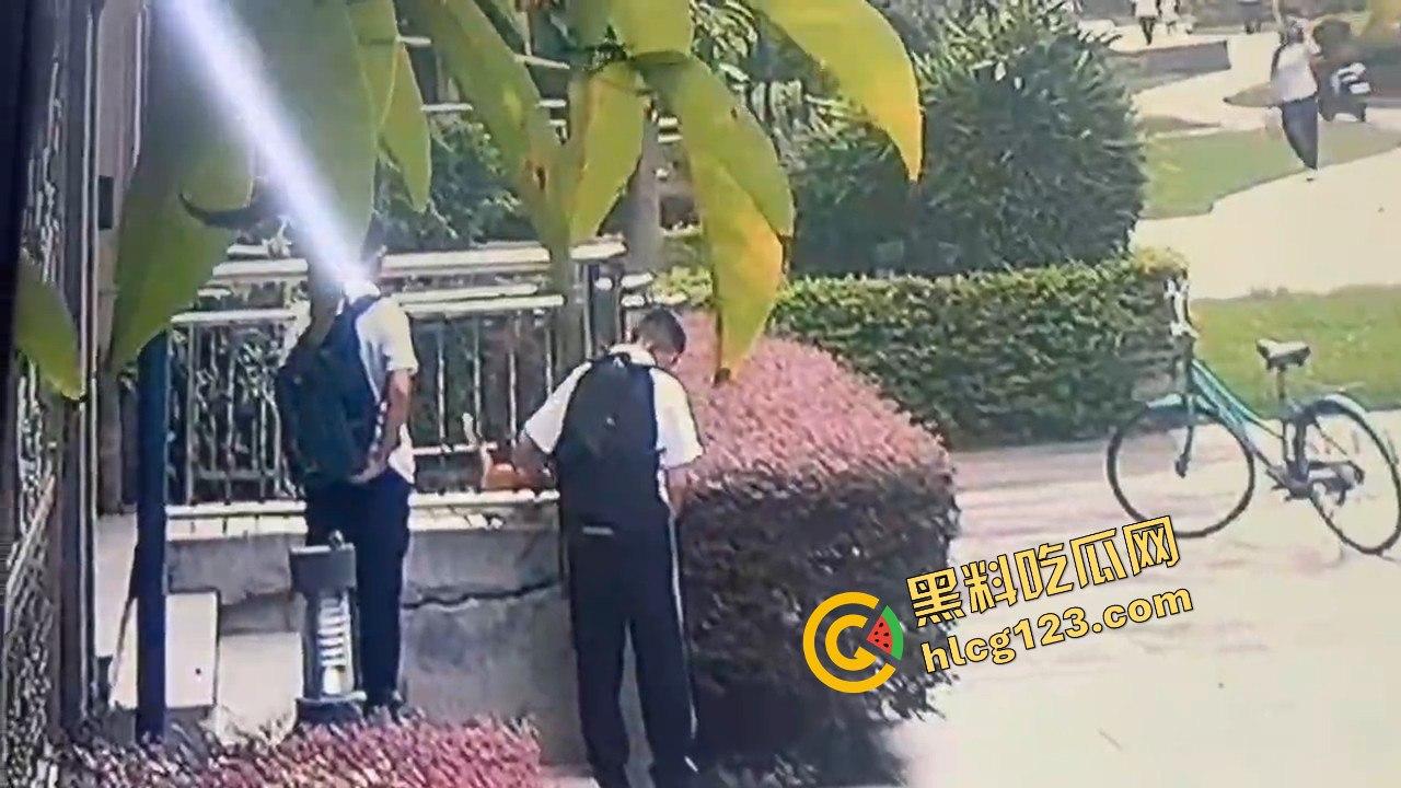 两个初中生小区虐猫？回家对着你老父亲试试，猫是猫人不是人！  第5张