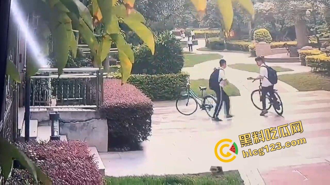 两个初中生小区虐猫？回家对着你老父亲试试，猫是猫人不是人！  第8张