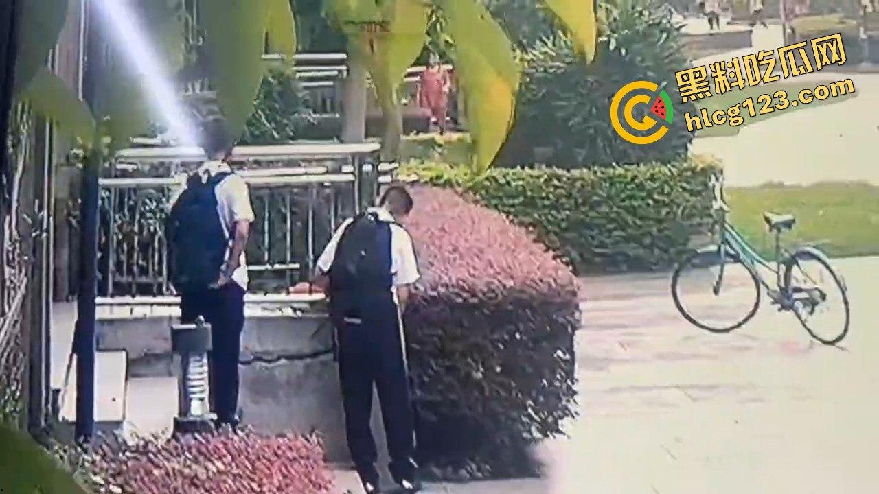 两个初中生小区虐猫？回家对着你老父亲试试，猫是猫人不是人！  第9张