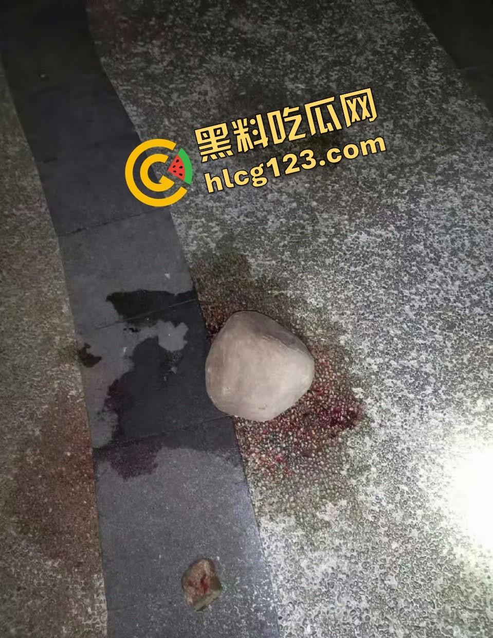 两个初中生小区虐猫？回家对着你老父亲试试，猫是猫人不是人！  第11张