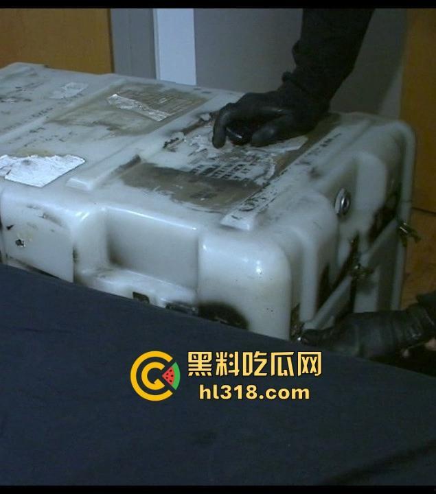 欧美重口味调教！插入充气式肛塞，菊花塞入电击遥控跳蛋，塞进行李箱，运输到下一个调教地点！  第9张