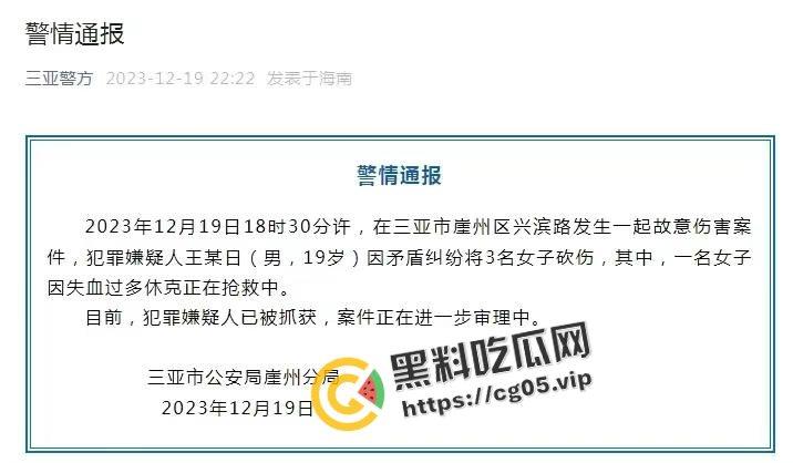12.19日三亚南滨中学门口精神小伙为爱砍人！现场画面曝光 遍地鲜血 三名女子被砍伤 一人正在抢救中  第1张