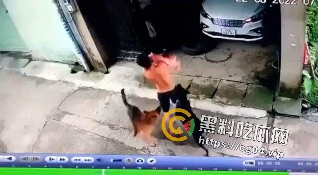 恶犬咬人！遛狗不牵绳 等于狗遛狗  狗首先是畜生 其次才是人类的朋友 第1张
