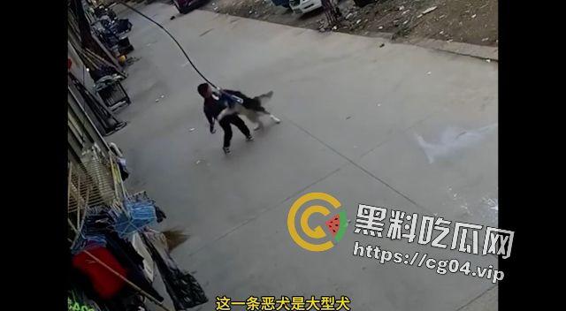 恶犬咬人！遛狗不牵绳 等于狗遛狗  狗首先是畜生 其次才是人类的朋友 第4张
