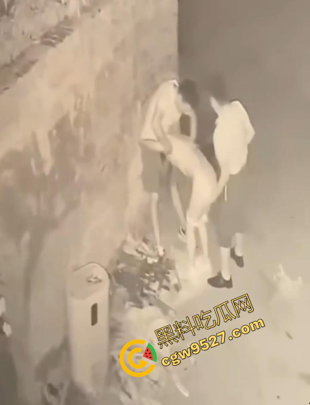 山东女子醉路边惨遭两男子轮奸！两男子色胆包天激情3P被监控全程记录，路过行人震惊不已不敢直视  第2张