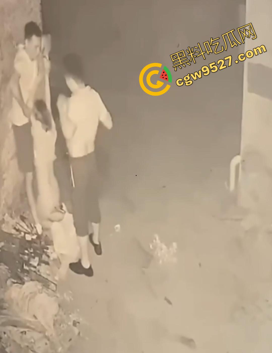 山东女子醉路边惨遭两男子轮奸！两男子色胆包天激情3P被监控全程记录，路过行人震惊不已不敢直视  第3张