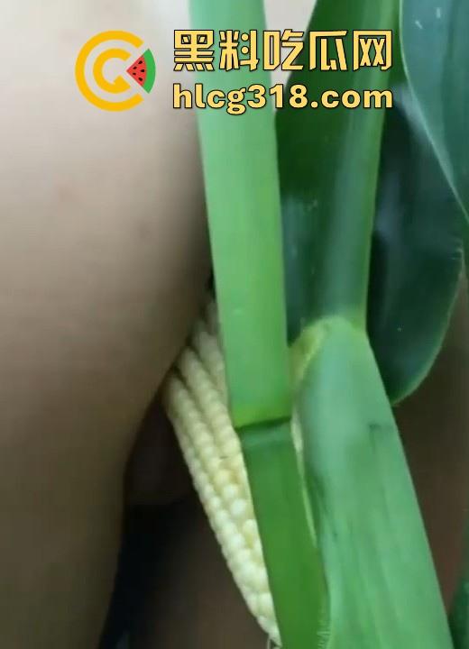不是玉美都不放过吗！饥渴美女拿未采摘的新鲜玉米自慰，纯天然带颗粒感和高潮更配哦！  第6张