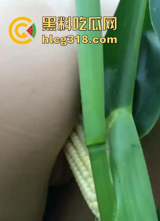 不是玉美都不放过吗！饥渴美女拿未采摘的新鲜玉米自慰，纯天然带颗粒感和高潮更配哦！  第7张