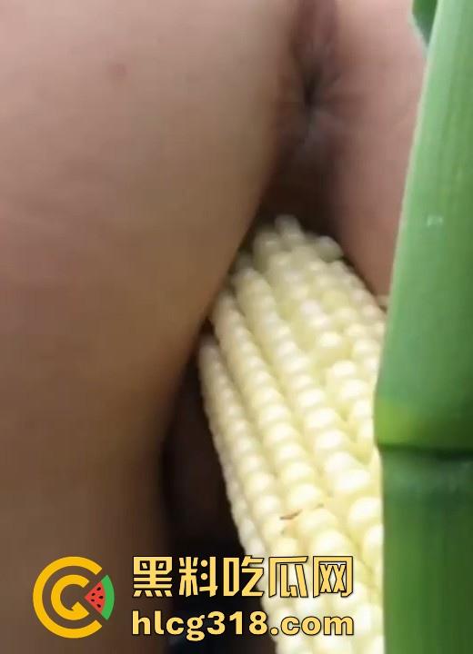 不是玉美都不放过吗！饥渴美女拿未采摘的新鲜玉米自慰，纯天然带颗粒感和高潮更配哦！  第8张