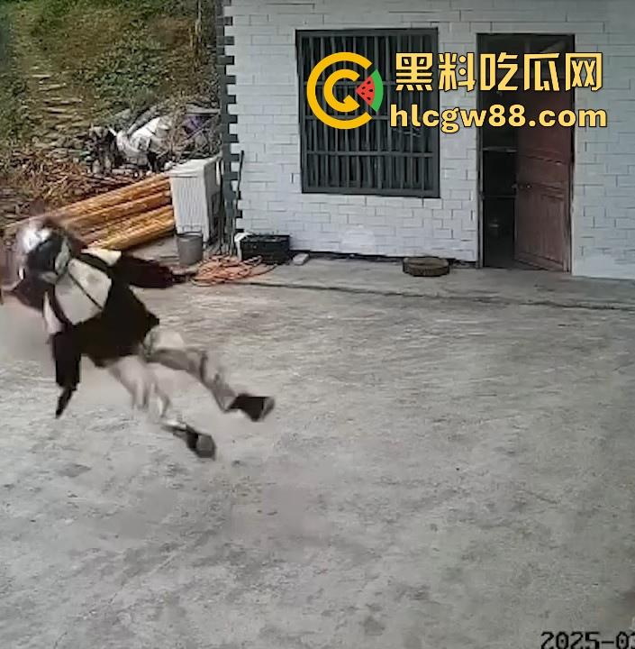 没煮你饭啊!你怎么就怎么就这么自来熟呀?飞车党直飞大爷家 坐等开饭 只见其车不见其人。 第6张 没煮你饭啊!你怎么就怎么就这么自来熟呀?飞车党直飞大爷家 坐等开饭 只见其车不见其人。 第6张