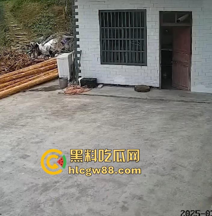 没煮你饭啊!你怎么就怎么就这么自来熟呀?飞车党直飞大爷家 坐等开饭 只见其车不见其人。 第7张 没煮你饭啊!你怎么就怎么就这么自来熟呀?飞车党直飞大爷家 坐等开饭 只见其车不见其人。 第7张