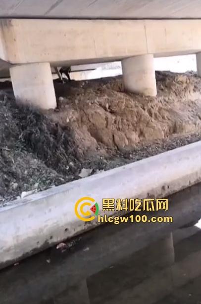 桥下风景大不同，钓鱼佬好不容易休假钓鱼，结果撞见野战现场，鱼没钓到兴趣全被别的勾走了！  第8张