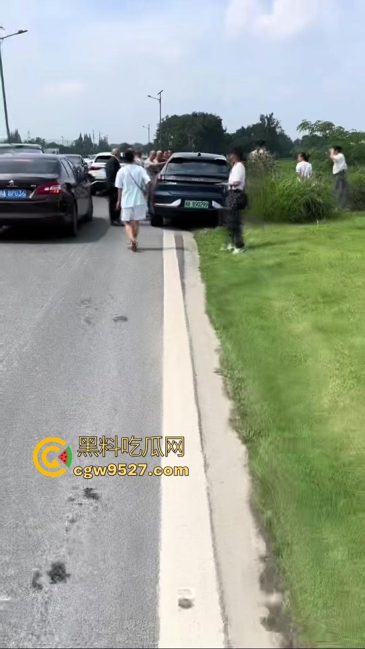 成都极氪撞护拦事故，严重的交通事故安全气囊居然没有弹出来，完全失去自救的机会，买极氪的朋友要注意啦！  第1张